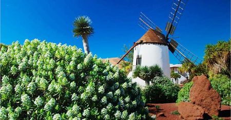 Fuerteventura. Słońce, spokój, wiatraki i tajemnice