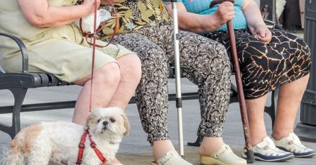 Trzynasta emerytura była minimalnie niższa. ZUS zaoszczędził na niej 2,5 mln zł