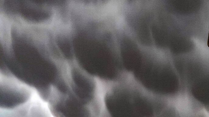 Mammatus nad Polską 