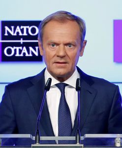 Tusk ma pomysł, jak zostać prezydentem Polski. Może wykorzystać europejskie stanowisko