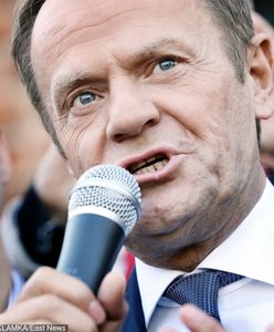 Donald Tusk w Polsce. Wróblewski: "Ostatnia deska ratunku dla opozycji. Cel: mobilizacja" [OPINIA]