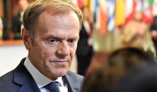 Donald Tusk nie wróci do Polski? "Na to wskazuje jego twardy kurs w sprawie brexitu"