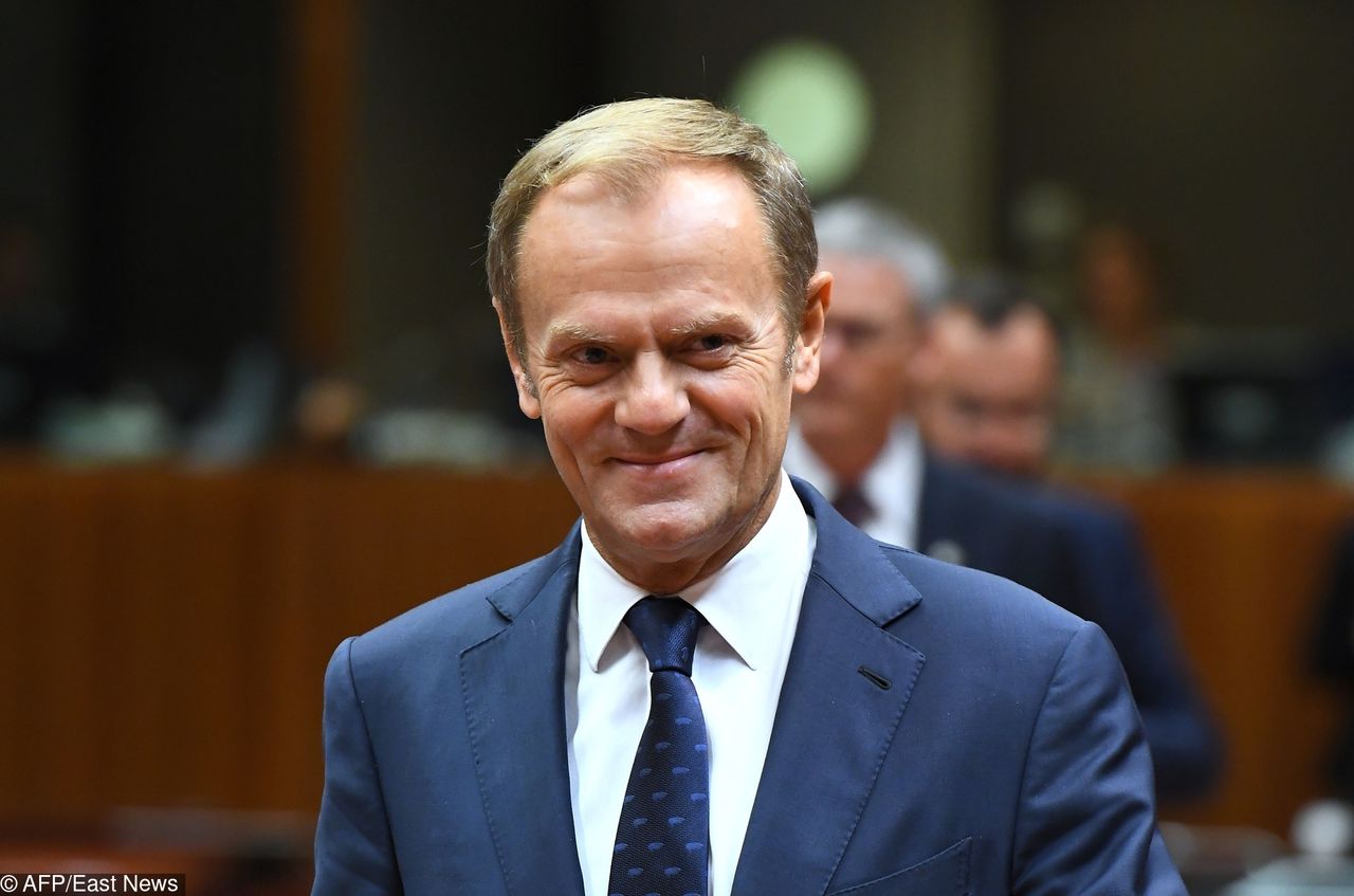 Donald Tusk jednym zdjęciem wywołał "tsunami". Internet zalewają zdjęcia polityków ze zwierzętami