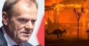 Donald Tusk apeluje DO POLITYKÓW o walkę z kryzysem klimatycznym: "Powinno to stać się jedenastym przykazaniem!"