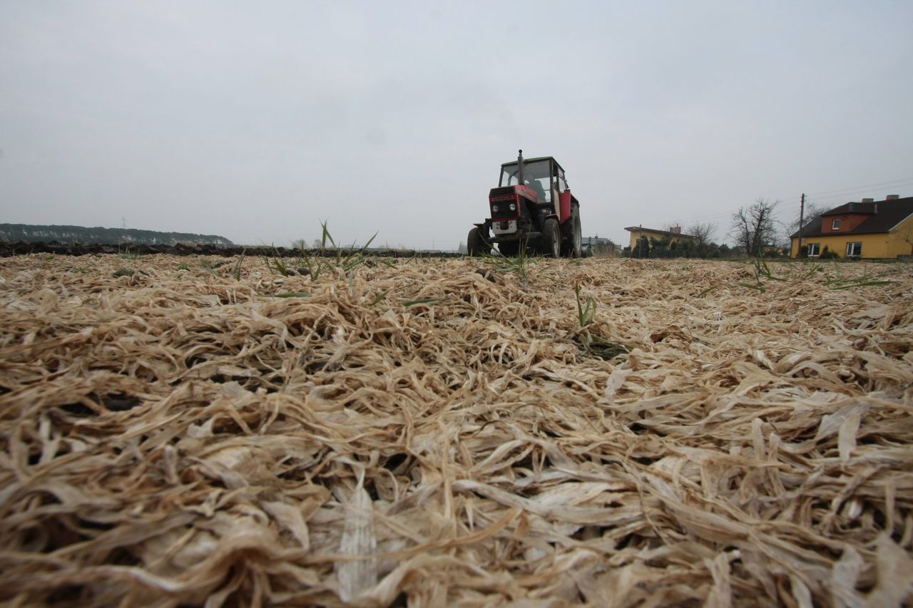 KRUS. Składki na ubezpieczenie oraz emerytalno-rentowe w IV kw. 2019 r.