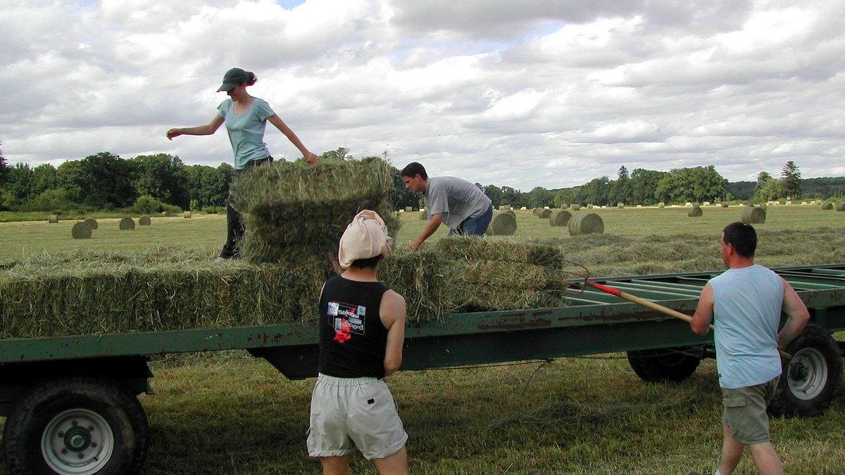 Chętnych do pacy tymczasowej coraz bardziej brakuje.