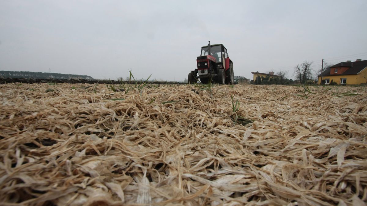 KRUS. Składki w IV kw. 2019 r. 