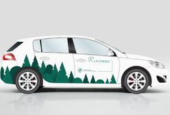Lasy Państwowe szukają aut elektrycznych. Oto 5 modeli, które spełniają ich wymagania