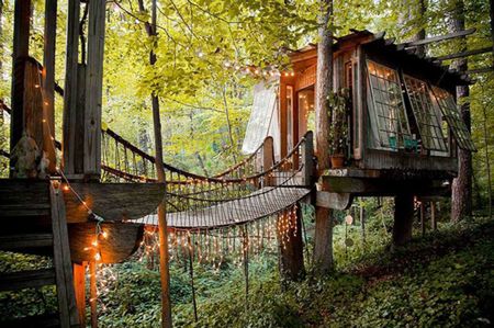 Magic Treehouse In The City