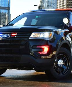 Radiowóz jak pies, wywęszy narkotyki?