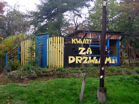 Obraz