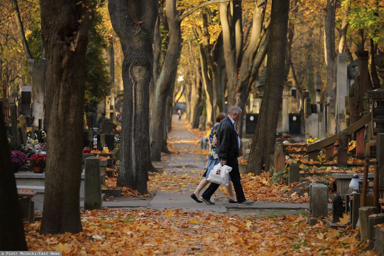 Warszawa. Prognoza pogody na Wszystkich Świętych. Będzie słonecznie i zimno