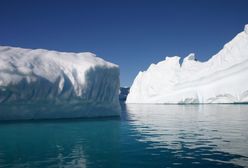 Przełomowe odkrycie na Antarktydzie. Zaskakujące wyniki badań lodu sprzed 2 mln lat