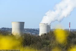 Niemcy. Rząd kupuje tabletki z jodem w obawie przed katastrofą atomową