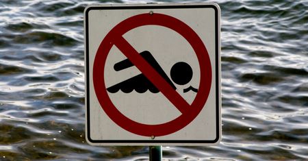 Sinice w Bałtyku? Nim zaplanujesz wyjazd nad morze, sprawdź, co wpływa na rozwój sinic, przez które w zeszłym roku zamknięto polskie plaże