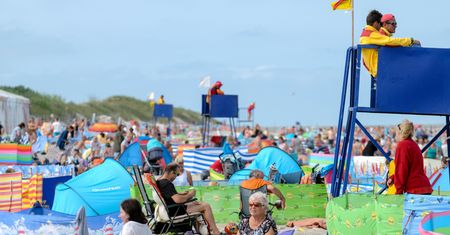 "Piwo, paluszki, kukurydzaaa!" Na plaży można zarobić ponad 200 zł dziennie