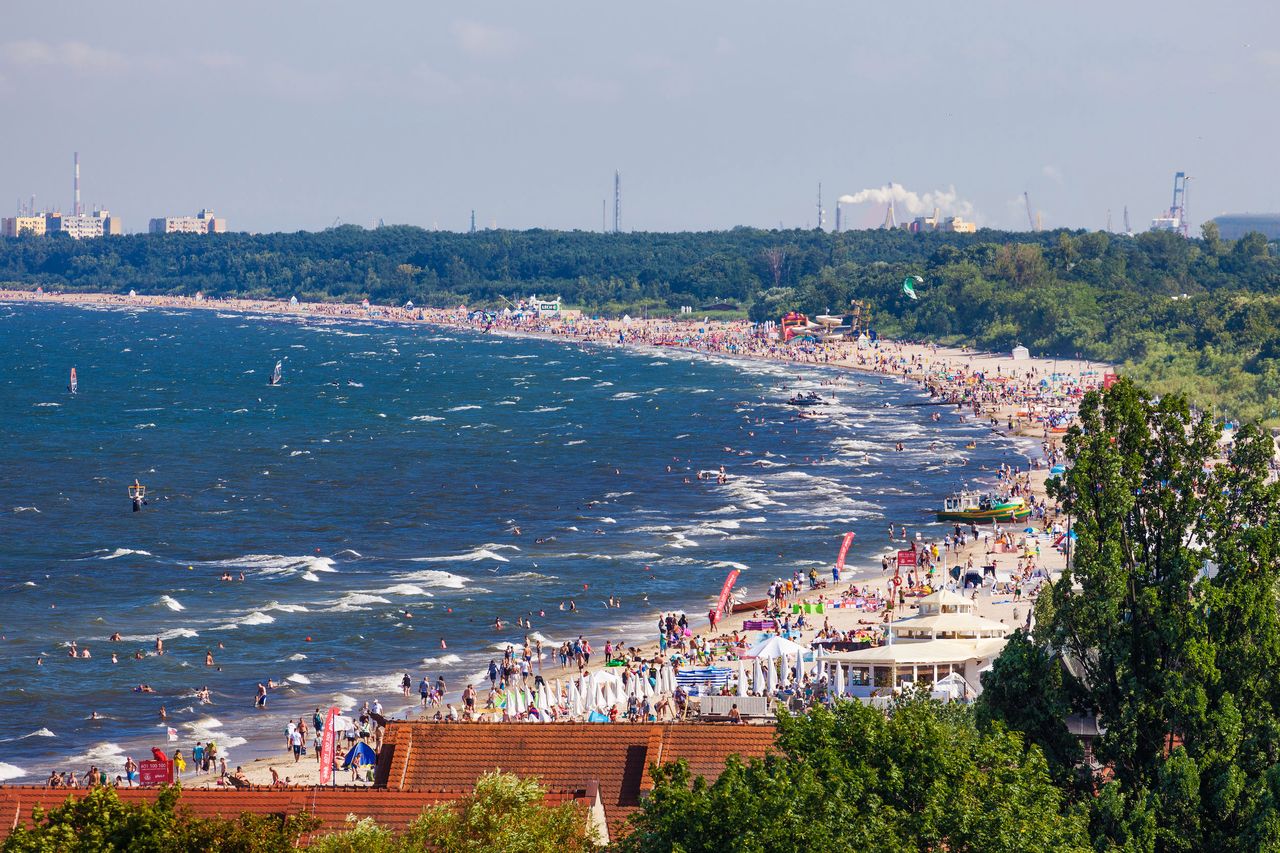 Straszą spacerujących nad Bałtykiem wyglądem i zapachem. Eksperci uspokajają