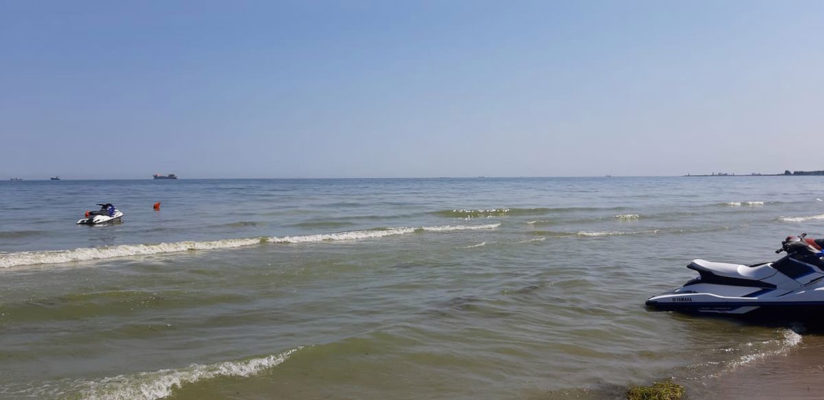 Sinice nad Bałtykiem 2019. Sprawdź, które plaże są zamknięte w piątek, 26 lipca i po czym możemy rozpoznać zakwit sinic
