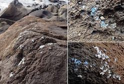Plastikowa "narośl" na skałach. Oto przykład, jak człowiek niszczy środowisko