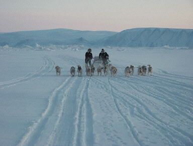 Przodkowie Inuitów namieszali w ekosysytemie