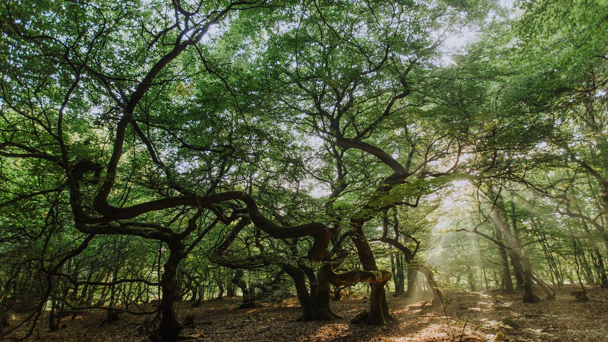 Dotacje na projekty turystyczne. Trzeba się spieszyć.