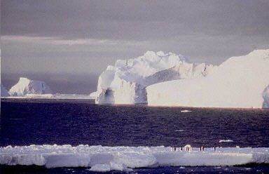 Załamała się platforma lodowa w rejonie arktycznym