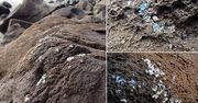 Plastikowa "narośl" na skałach. Oto przykład, jak człowiek niszczy środowisko