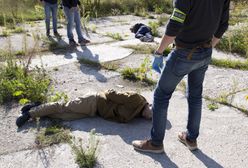 Piaseczno. Profesjonalna plantacja marihuany w piwnicy i garażu. Narkotyki warte 3,5 mln zł