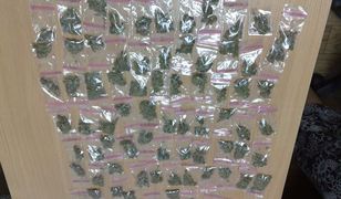 19-latek sprzedawał narkotyki... w lesie