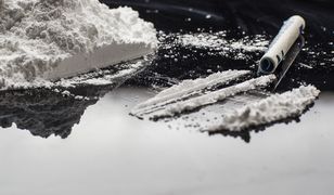 Wrocław. Gang mógł wyprodukować nawet 1,5 miliarda porcji amfetaminy