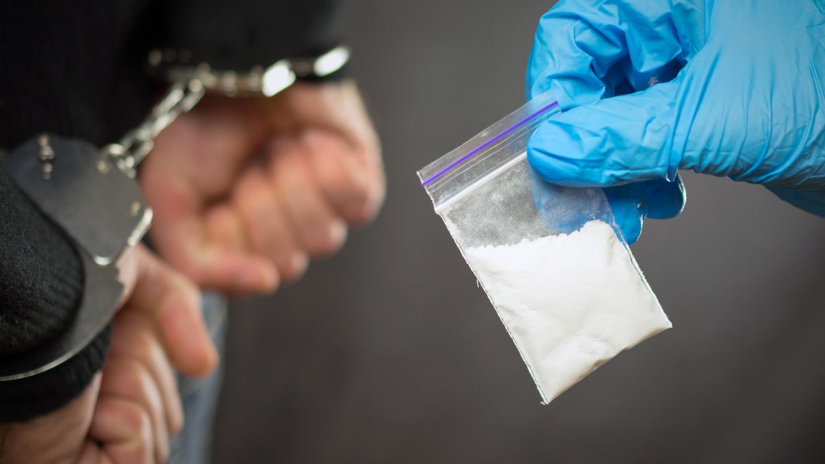police detention drug courier.  A police officer finds drugs during the search of drug dealers