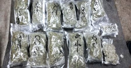 Marihuana z Hiszpanii trafiała do Polski. Laweciarze wpadli na pomysł przemytu narkotyków