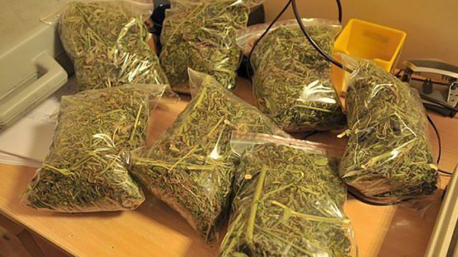 Policja twierdzi, że to jeden z największych transportów narkotyków, jakie przechwycono na Pomorzu