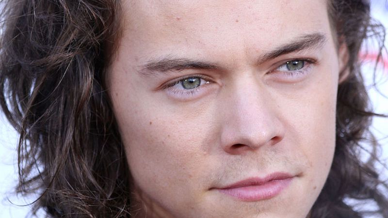 Harry Styles to brytyjski piosenkarz i aspirujący aktor, znany m.in. z występów z zespołem One Direction