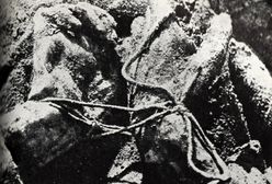 IPN będzie szukać skrzyni katyńskiej? PCK wnioskuje o nowe badania