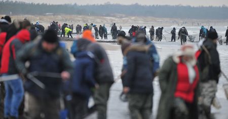 "Prawdziwy szał" po sztormie. Tłumy szukają "złota Bałtyku" na plażach