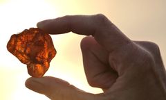 Hrebenne. Ukrainiec próbował przeszmuglować 12 kg bursztynu