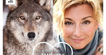 Adopcja WWF – mądry prezent na Walentynki