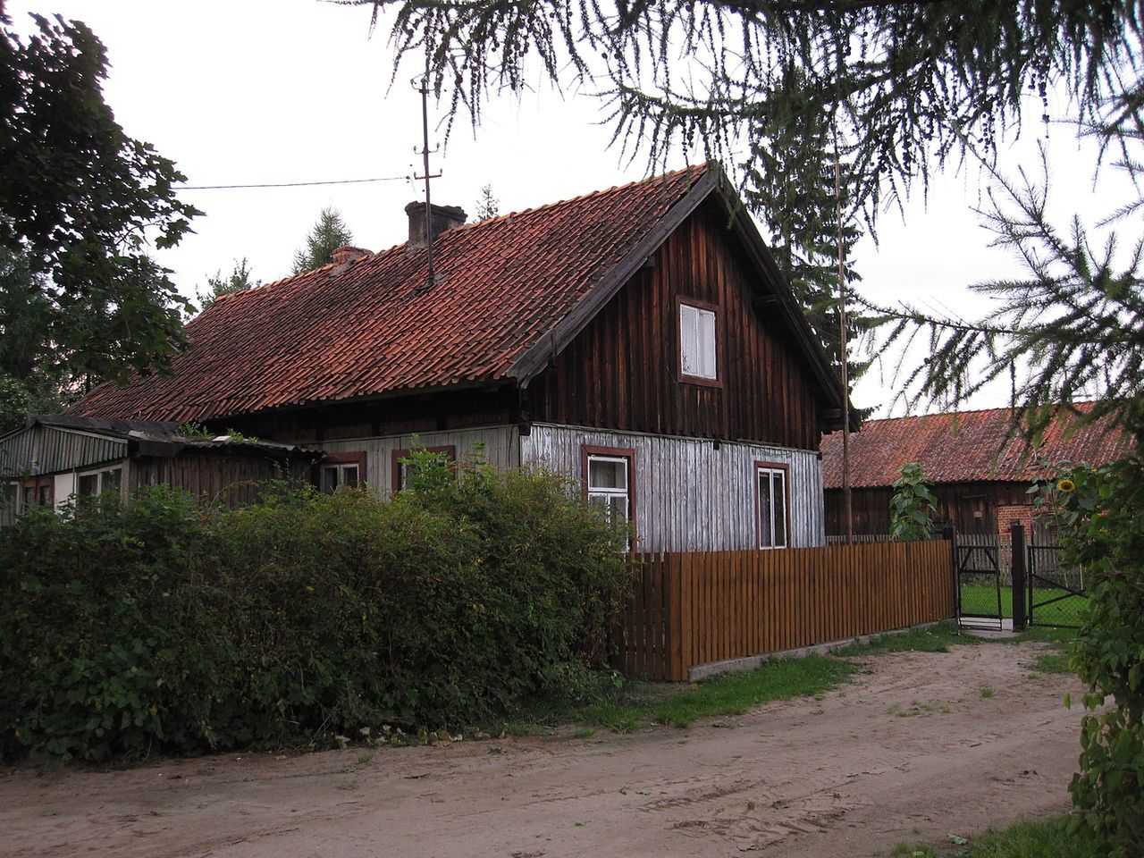 Obraz