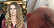 Maffashion zginął telefon. Ktoś go znalazł i wrzuca do sieci zdjęcia. Czy to ten człowiek z tataużem pająkiem?