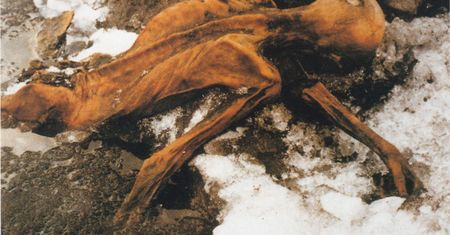 Wyjaśnili śmierć sprzed 5000 lat. Wiemy, jak zginął "człowiek lodu”