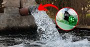 Recykling pod lupą naukowców. Mają spory problem, bo nie jest tak zdrowy, jak się wydawało