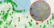Mogą pojawić się z dnia na dzień i zepsuć urlop. Są koszmarną zmorą plażowiczów