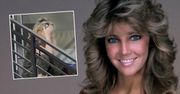 Heather Locklear po latach trzeźwości znów powróciła do nałogu. Nie wygląda za dobrze
