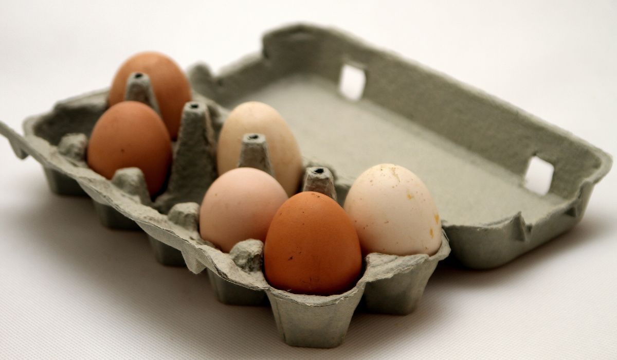 Jajka to bardzo ważny składnik diety - Pyszności; Fot. Adobe Stock