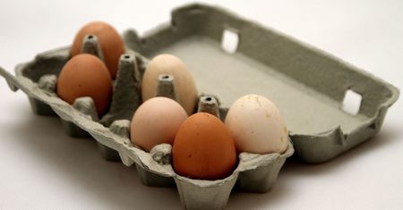 Ten szczegół zdradzi, czy jajko jest zdrowe. Prawie nikt nie zwraca na niego uwagi