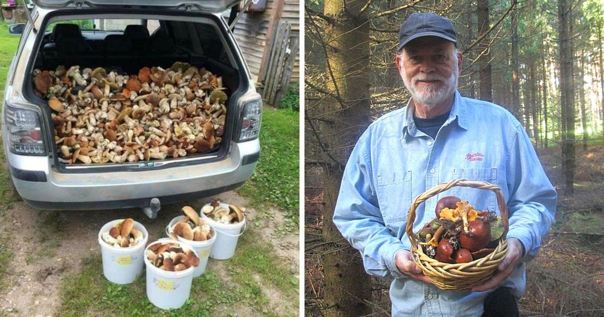 Doświadczeni grzybiarze zdradzają miejsca w lesie, w których zawsze znajdują dorodne okazy