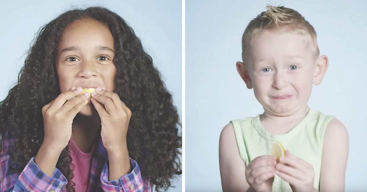 Dzieciaki kontra smak kwaśnej cytryny. Kiedy zobaczysz ich genialne reakcje, nie będziesz mógł przestać się śmiać