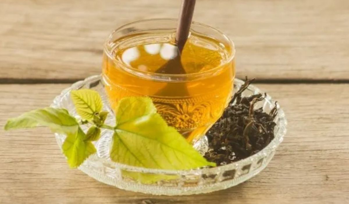 Herbata z liści morwy białej wspomaga odchudzanie; źródło: go4taste.pl