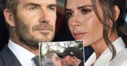Wielka kłótnia w domu Beckhamów! David nie chce wychowywać córki tak, jakby chciała tego Victoria